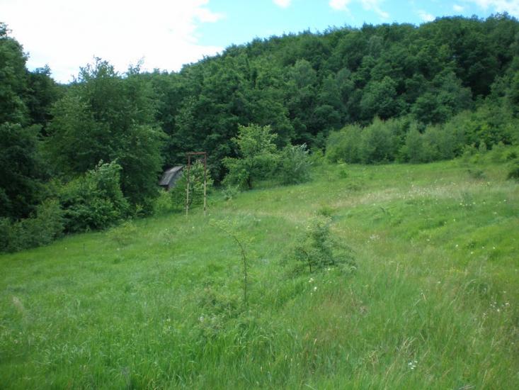 Ворочово з panoramio.com - Ворочево