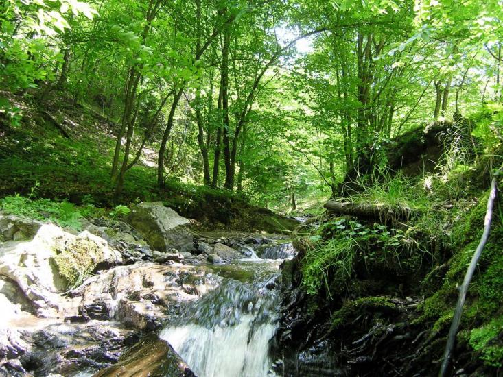 Губків з panoramio.com - Губків