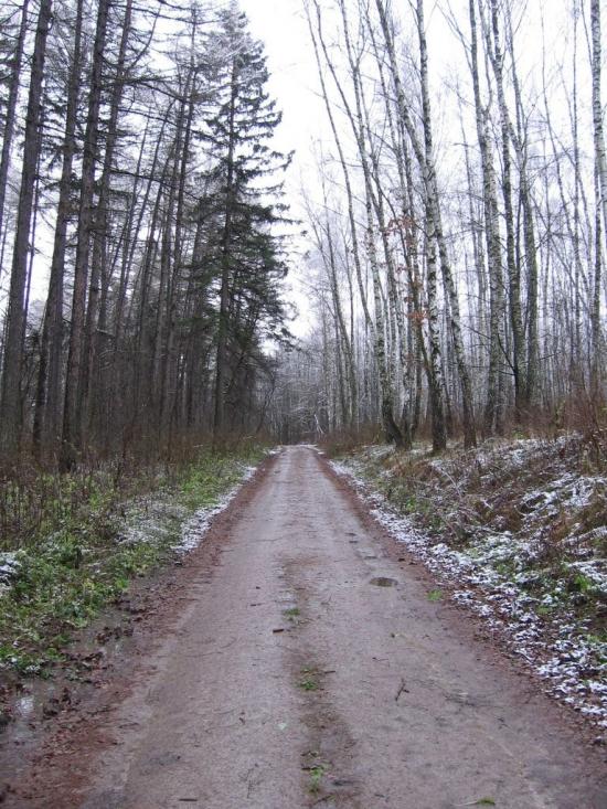 Іволжанське з panoramio.com - Иволжанское