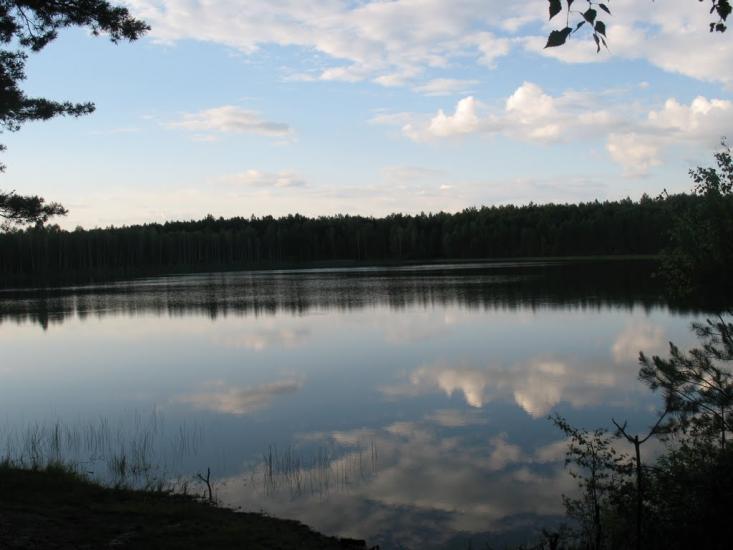 Піски-Річицькі з panoramio.com - Pisky-Richytski