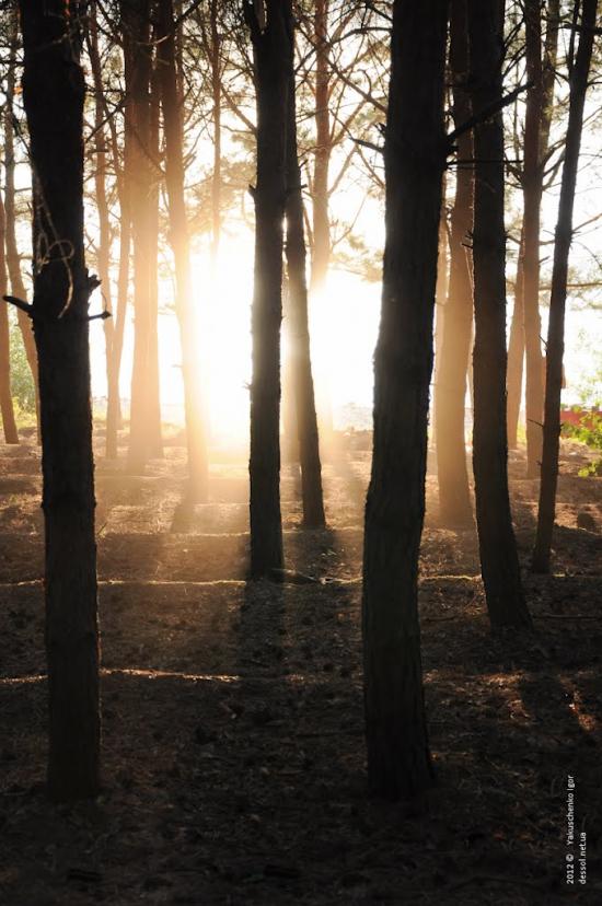 Каштанівка з panoramio.com - Каштановка