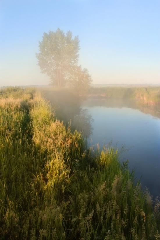 Добрянське з panoramio.com - Добрянське