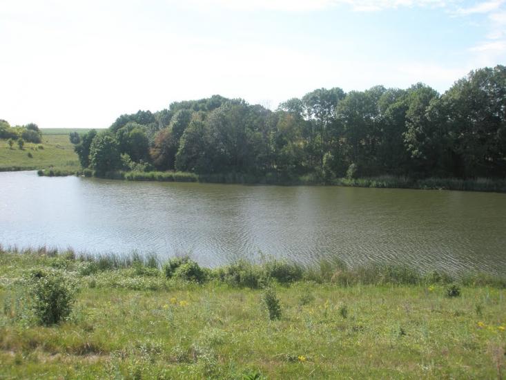 Писарівка з panoramio.com - Писарівка