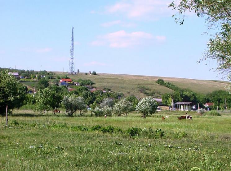 Дубове з panoramio.com - Дубове