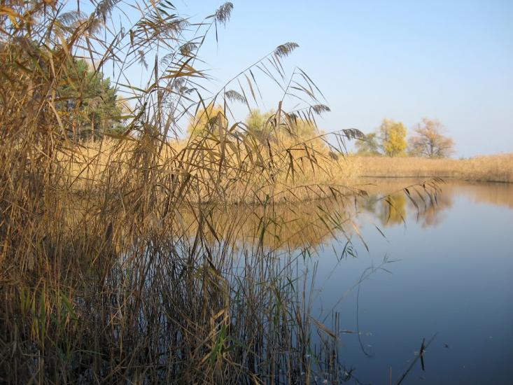 Леськи з panoramio.com - Леськи