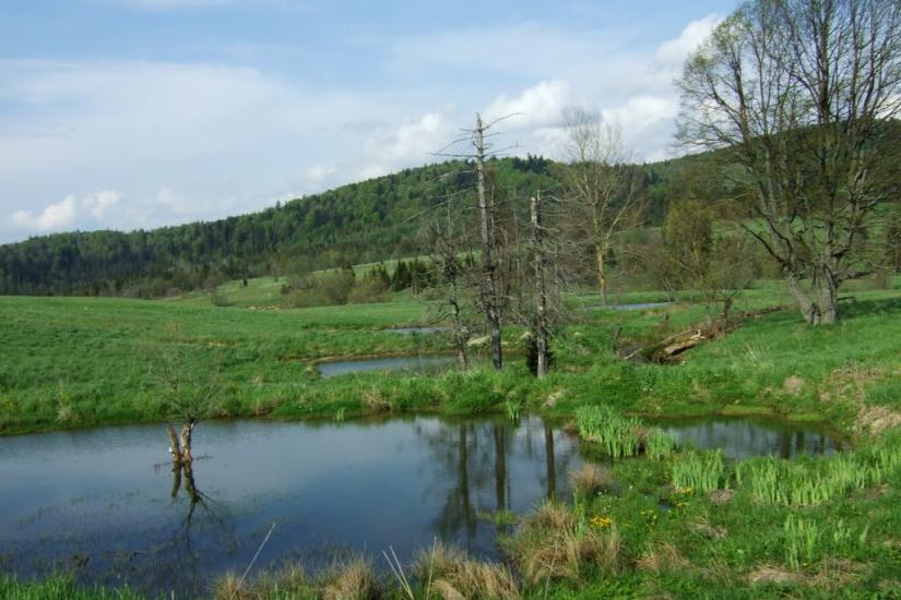 Біньова з panoramio.com - Бенева