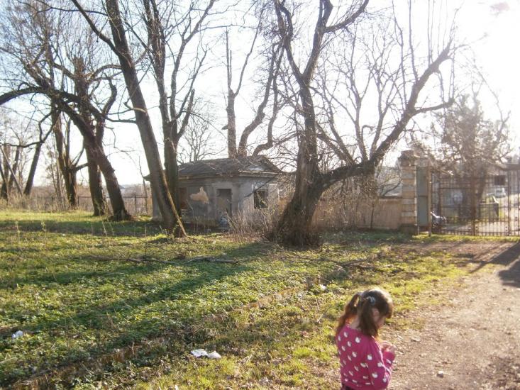 Розділ з panoramio.com - Роздол