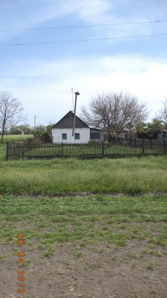 Дачне з panoramio.com - Дачне