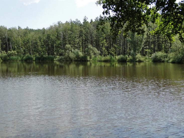 Корюківка з panoramio.com - Корюківка