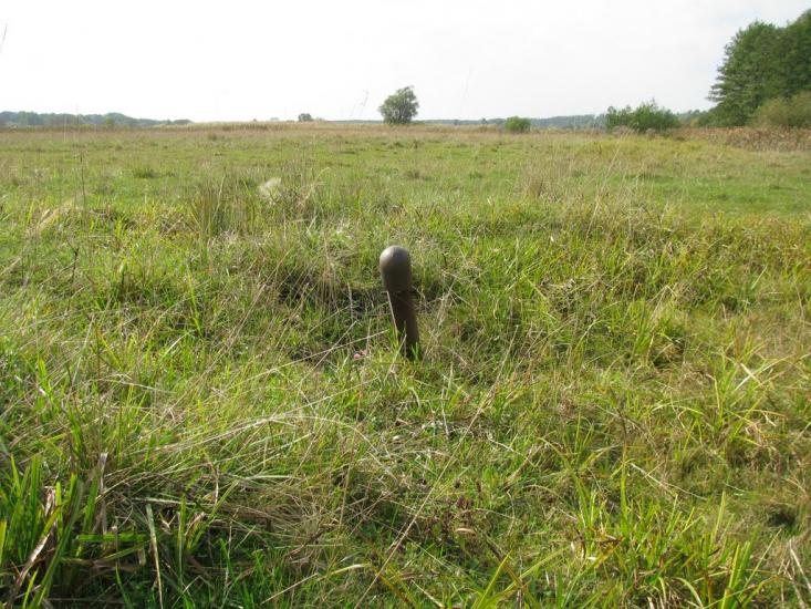 Лютенські Будища з panoramio.com - Лютенські Будища