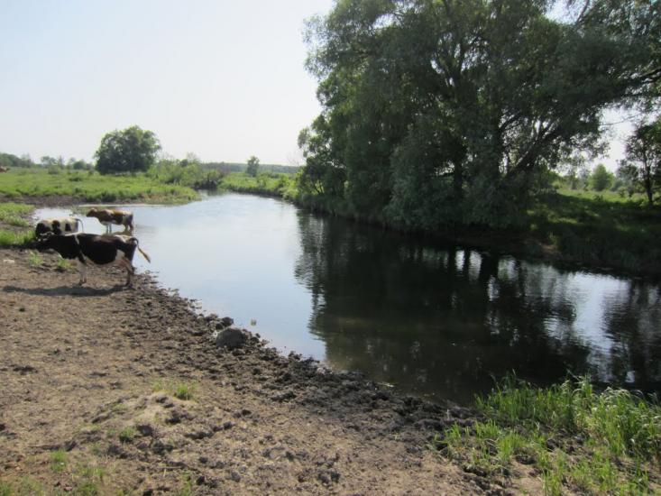 Волокитине з panoramio.com - Волокитине