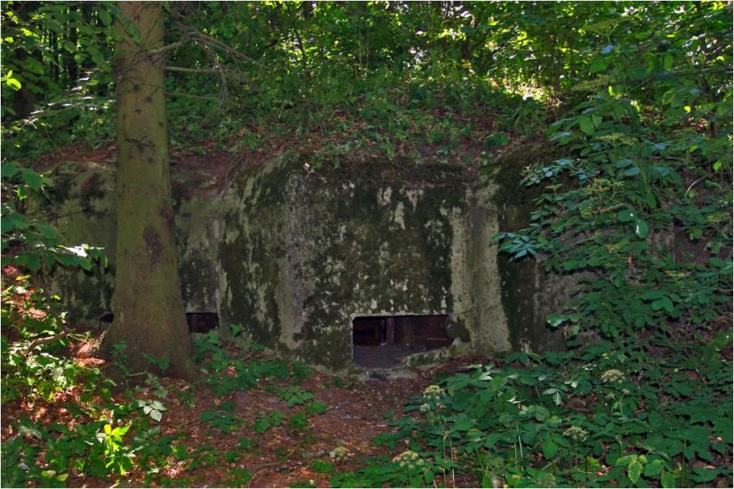 Гульськ з panoramio.com - Гульск