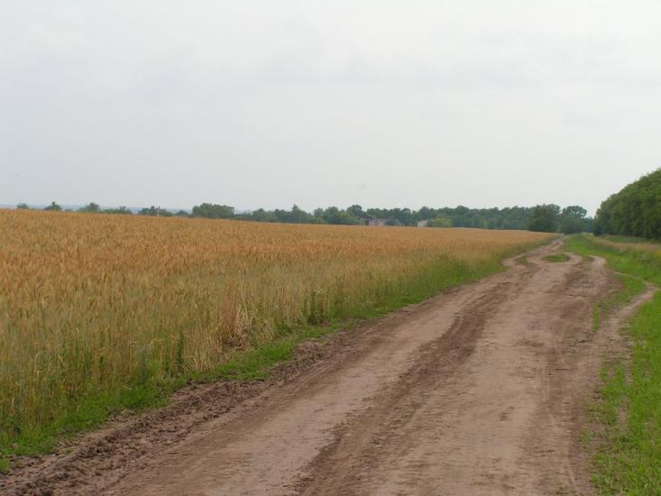 Харківці з panoramio.com - Харківці