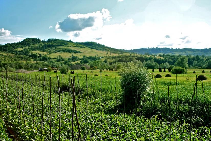 Біла Церква з panoramio.com - Біла Церква