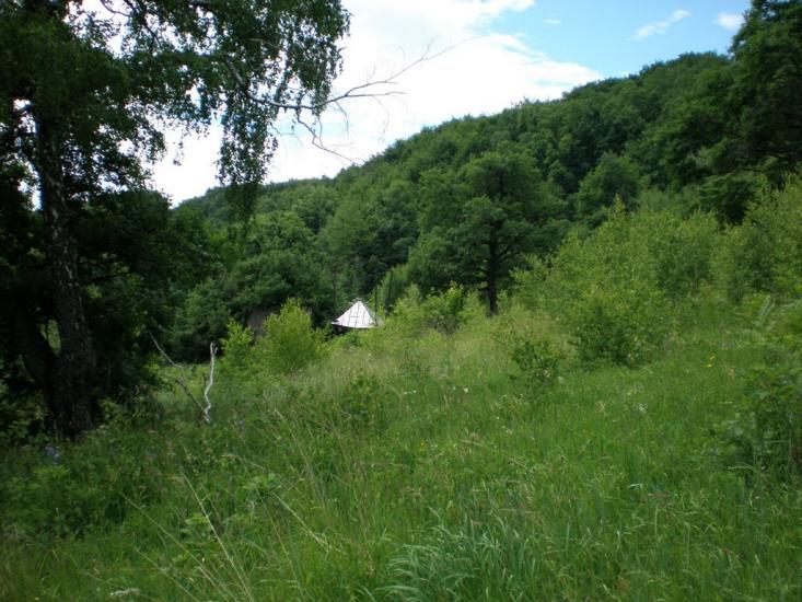 Ворочово з panoramio.com - Ворочево