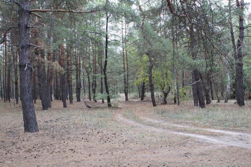 Чугуїв з panoramio.com - Чугуев