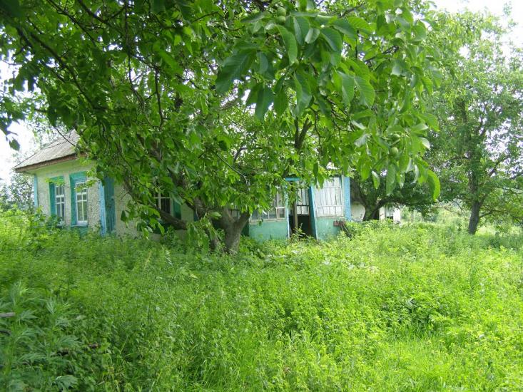 Петро-Марківка з panoramio.com - Петро-Марківка