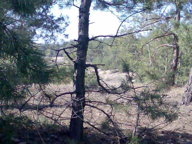 Баловне з panoramio.com - Баловное