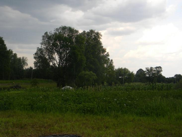 Хрипівка з panoramio.com - Хрипівка