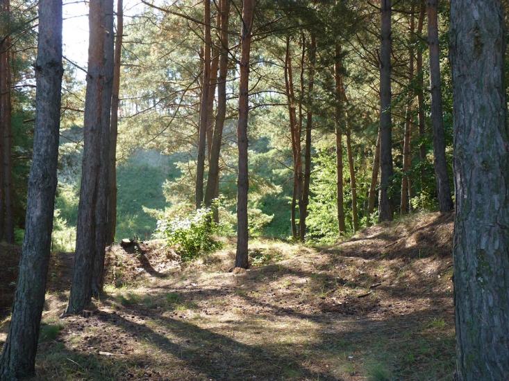 Медвин з panoramio.com - Медвин