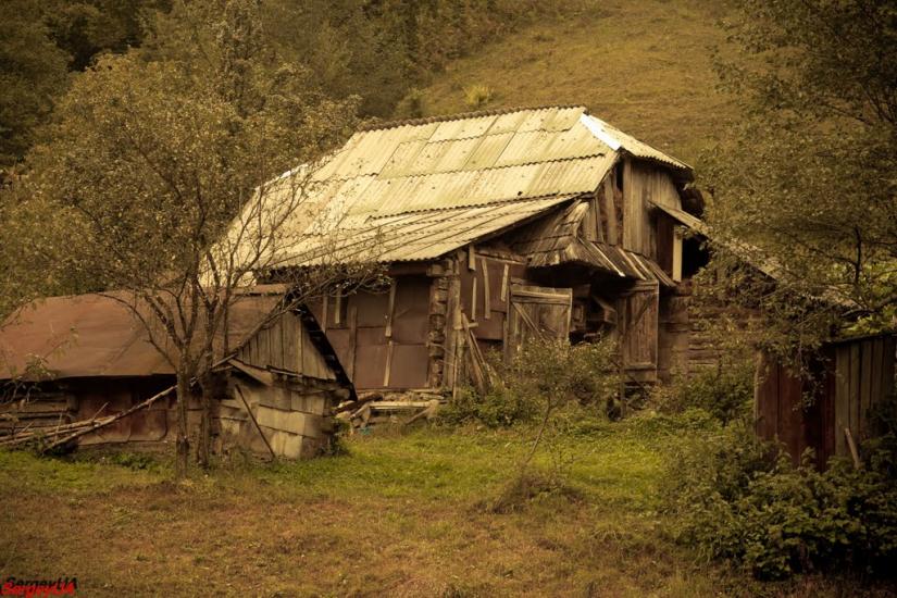 Стригальня з panoramio.com - Strygalnya