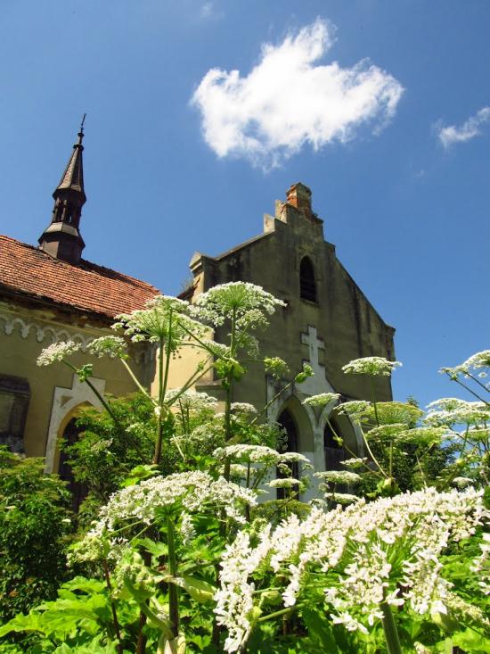 Маркова з panoramio.com - Маркова