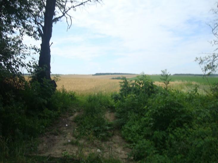 Ружичанка з panoramio.com - Ruzhychanka
