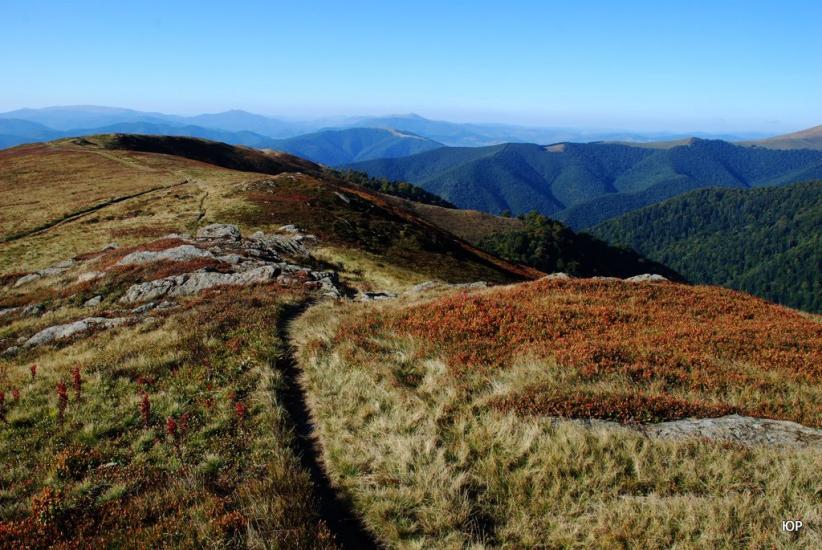 Вовчий з panoramio.com - Волчий
