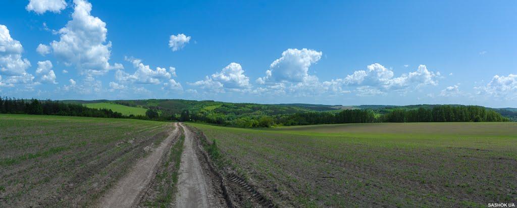 Ходорів з panoramio.com - Ходорів