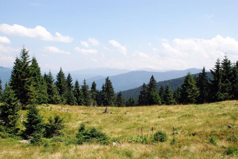 Заверхня Кичера з panoramio.com - Заверхняя Кичера