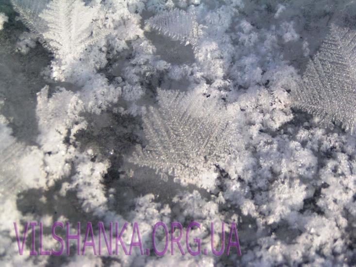 Вільшанка з panoramio.com - Вільшанка