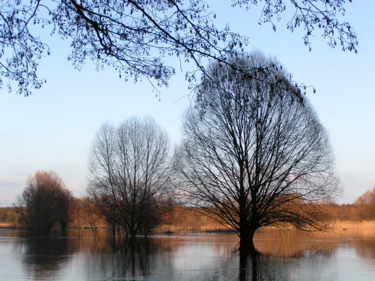 Гайдари з panoramio.com - Гайдары