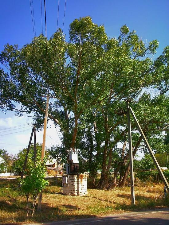Кочергіне з panoramio.com - Кочергино