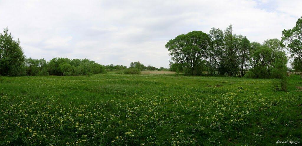 Звози з panoramio.com - Zvozy