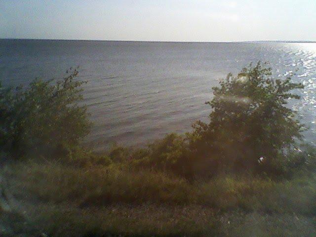 Малокатеринівка з panoramio.com - Малокатериновка