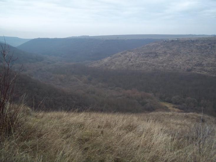 Пилипи-Хребтіївські з panoramio.com - Пилипы-Хребтиевские