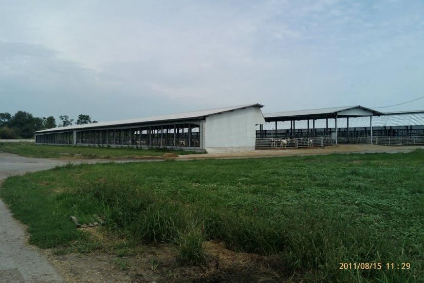 Великий Крупіль з panoramio.com - Великий Крупіль