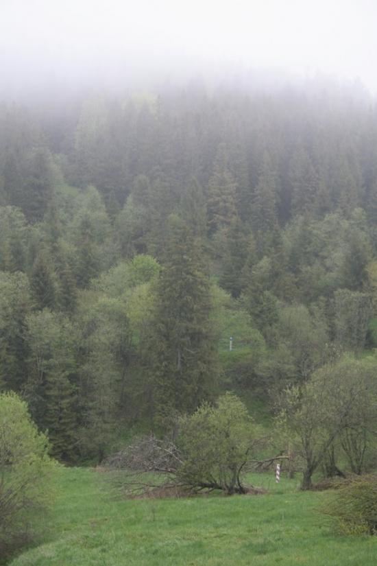 Сянки з panoramio.com - Сянки