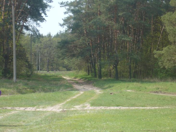 Загрунівка з panoramio.com - Загрунівка