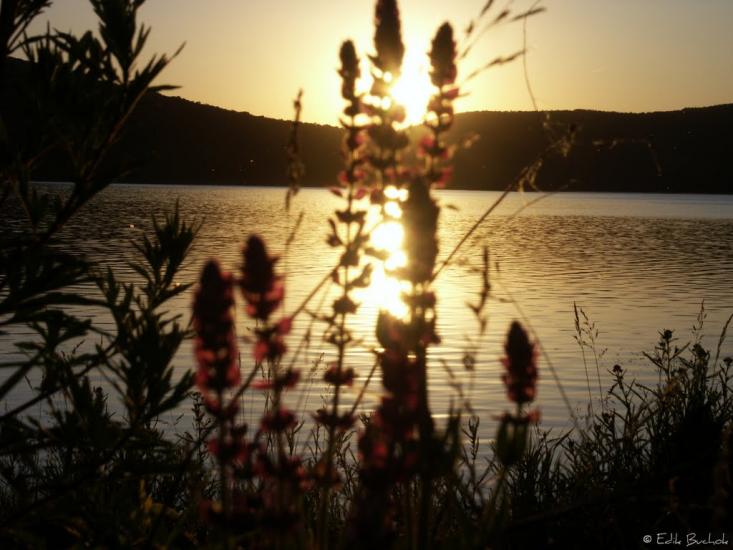 Дністрівка з panoramio.com - Дністрівка