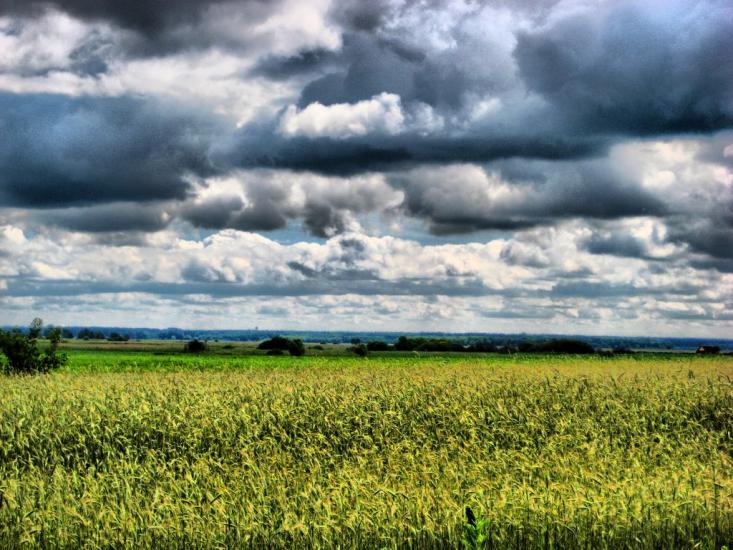 Устинкова Гребля з panoramio.com - Устинкова Гребля