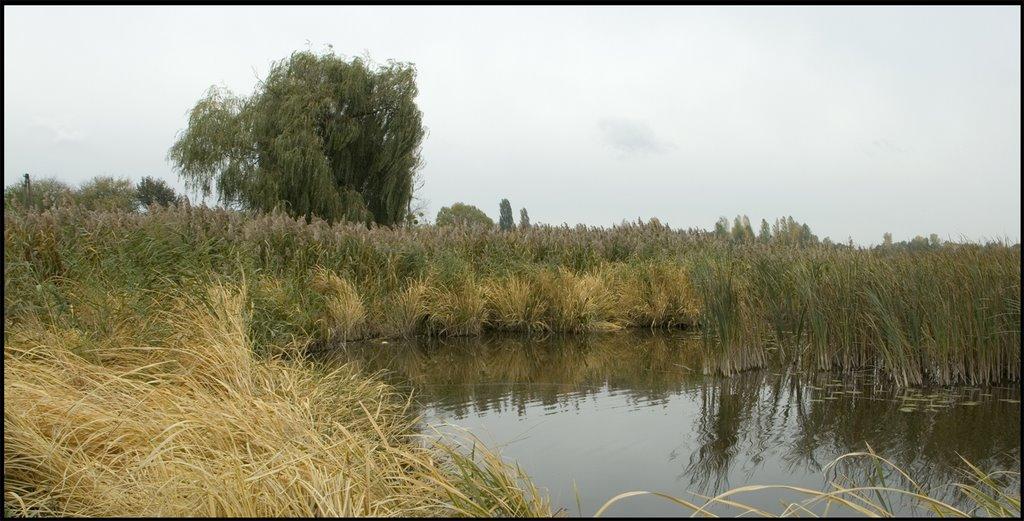 Глібівка з panoramio.com - Глебовка
