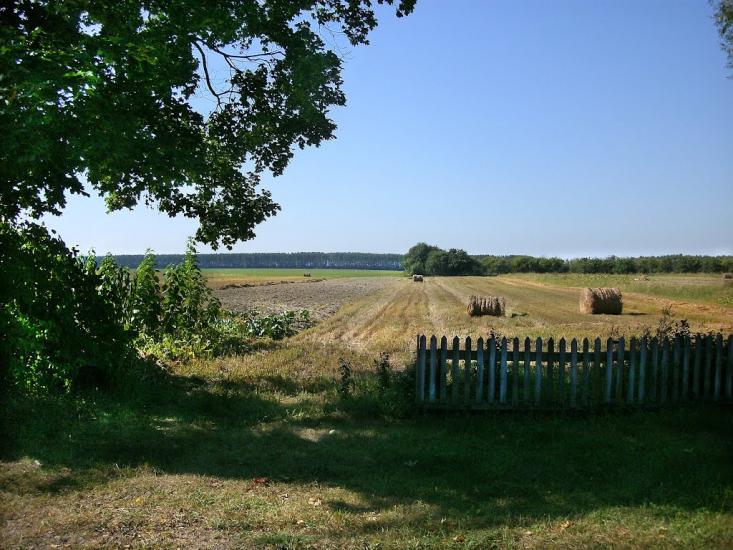 Марочкине з panoramio.com - Марочкине