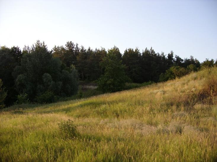 Пашенівка з panoramio.com - Пашеновка