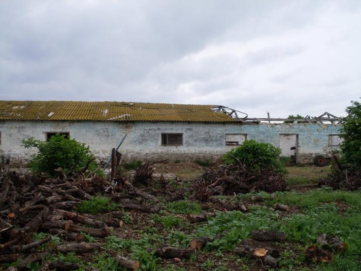 Нові Бутори з panoramio.com - Новые Буторы