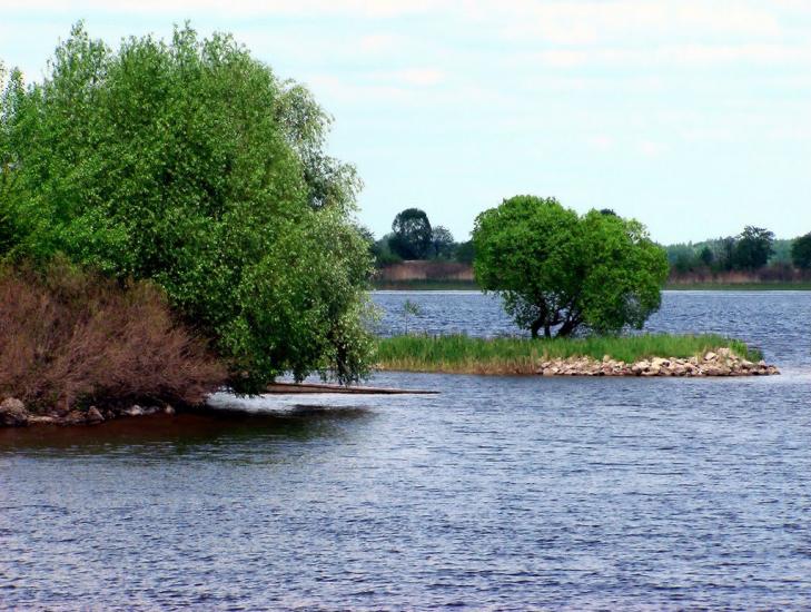 Ржищів з panoramio.com - Ржищев