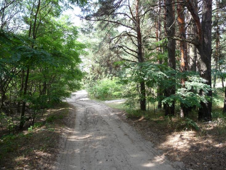 Ровжі з panoramio.com - Ровжи