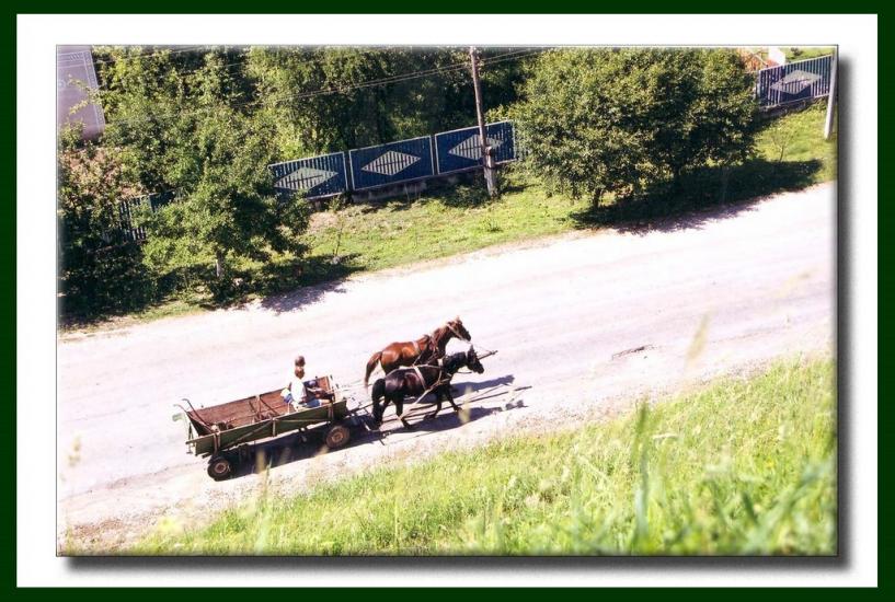 Біла з panoramio.com - Bila