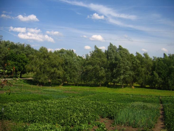Владиславка з panoramio.com - Владиславка