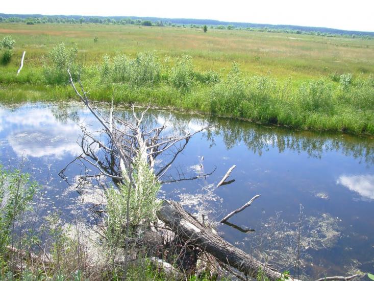 Запрудка з panoramio.com - Запрудка